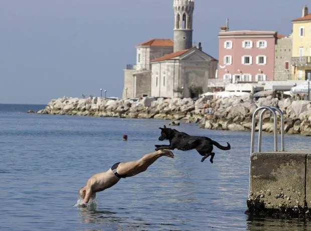 Instagram In En Populer Fotograflari Galeri Dunya