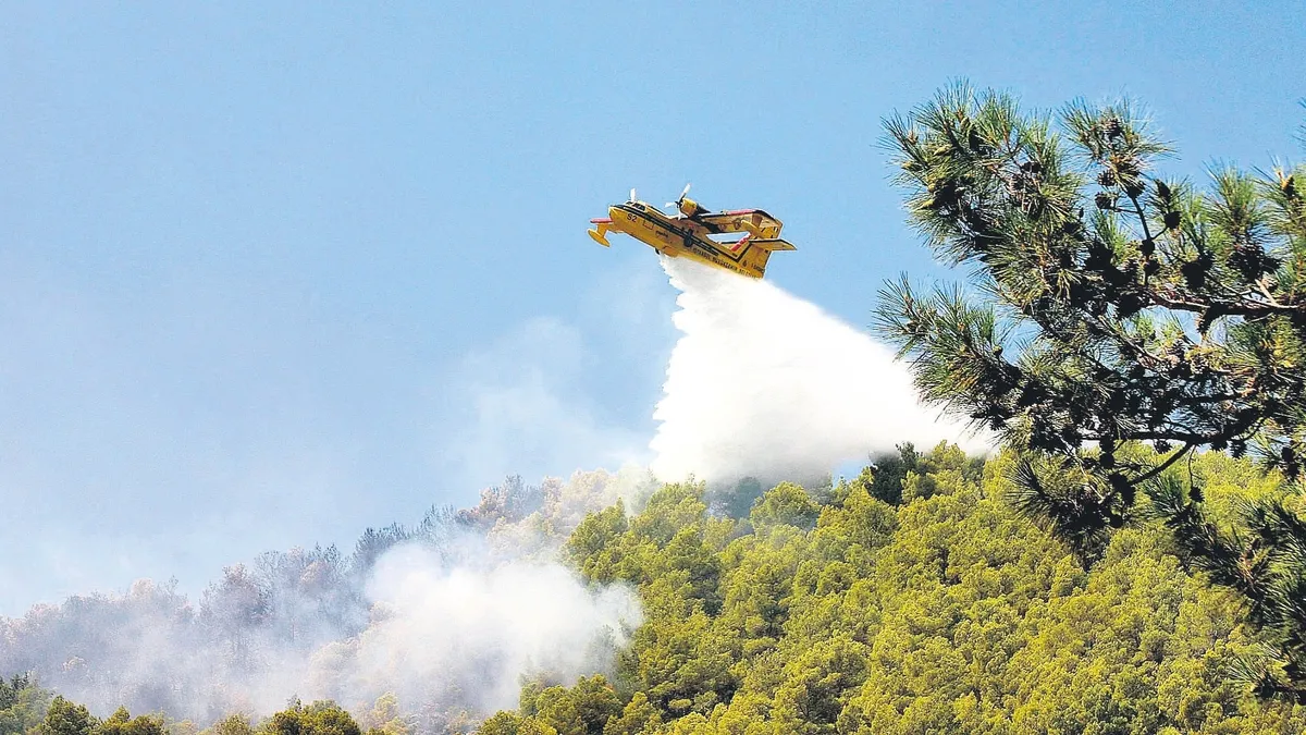 Yeşil vatan için üst düzey güvenlik önlemleri