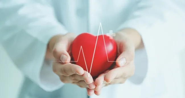 B Rh Pozitif Kan Grubu Özellikleri: B Rh+ Kan Grubuna Göre Beslenme Listesi Ve Özellikleri