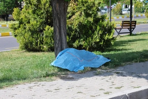 H.K.'nin Annesini Ziyareti