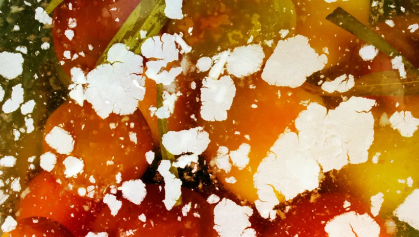 Turşu kuranlar dikkat! Eğer üzerinde beyaz tabaka oluşuyorsa...