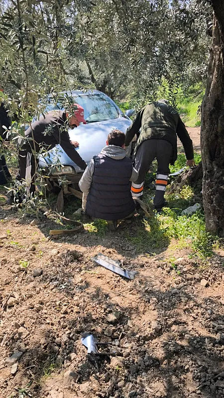 kopege-carpmamak-icin-zeytin-tarlasina-uctu-durumu-ciddiyetini-koruyor-1743868310750.jpeg