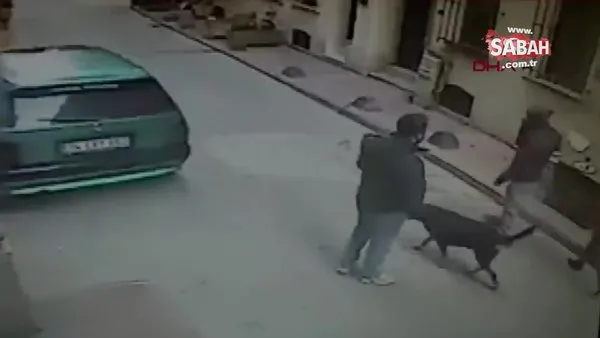 Beyoğlu'nda cep telefonu hırsızlığını köpek önledi... O anlar kamerada | Video