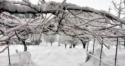 Bitlis’te yoğun kar yağışı hayatı olumsuz etkiliyor #bitlis