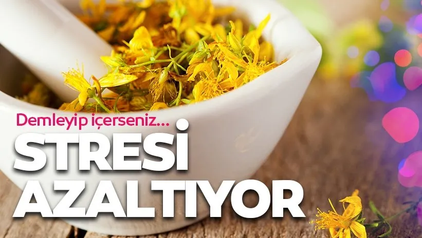 Bu bitkiler stres azaltıyor! Akşam saatlerinde içerseniz...