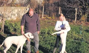 Köylerin, yeni şehirli sakinleri