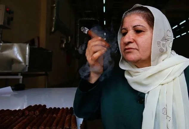Savaşın sürdüğü Suriye’de tütün endüstrisi canlandı