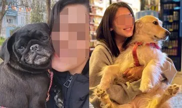 Saldırgan köpeği besleyene hapis talebi