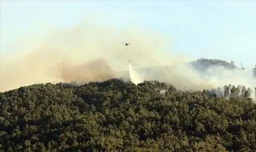Aydın’da da orman yangını çıktı: Ekipler müdahale ediyor