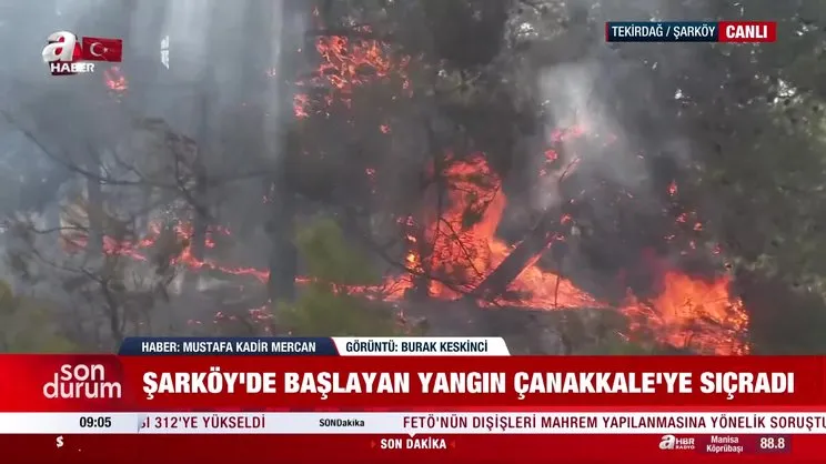 SON DAKİKA: Tekirdağ Şarköy’deki yangın Çanakkale'ye de sıçradı! A Haber bölgeyi böyle görüntüledi | Video