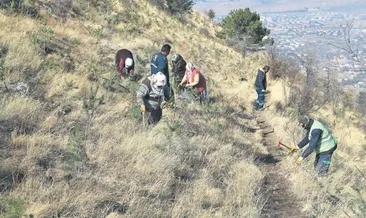 Ali Dağı Kayseri’nin akciğeri olacak