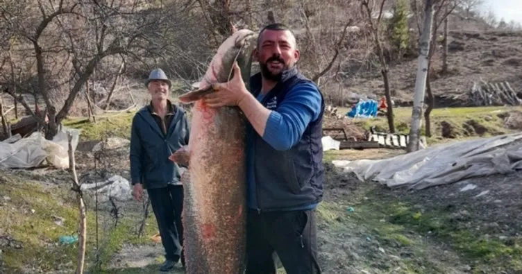 Burdur’da garaj gölünde 47 kiloluk yayın balığı yakaladı