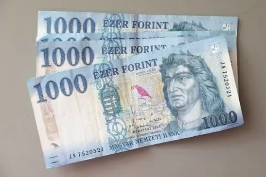 bir-ulke-daha-euroya-geciyor-forint-tedavulden-kalkacak-mi-1782470299072.jpg