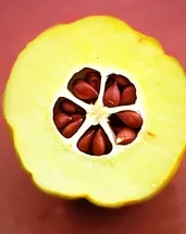 İştahı bıçak gibi kesiyor!