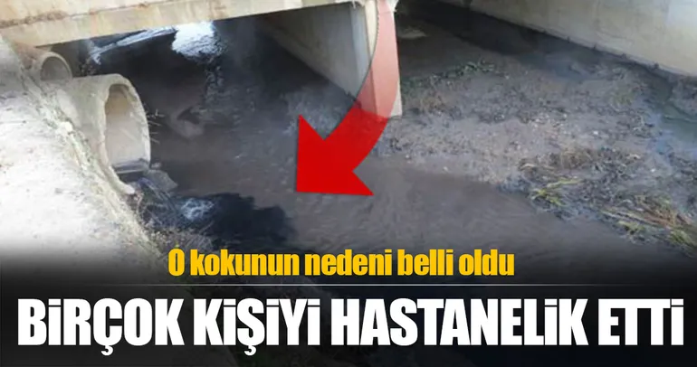 Tuzla'da paniğe neden olan kokunun nedeni belli oldu