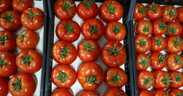 Rusya, Türkiye’den domates ithalat izinini genişletmeye hazır