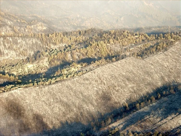 Son dakika | Yanan alanlar yeşile büründü! İşte orman yangınlarının olduğu bölgenin son hali