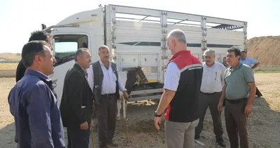 Kırıkkale’de hayvan pazarı açıldı: Aşısız ve kimliksiz hayvanlara dikkat çekildi #kirikkale