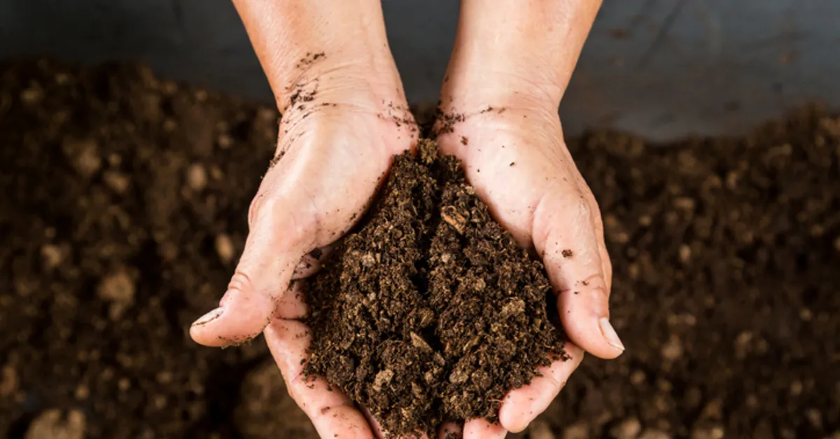 Laterit Toprak Nedir? Laterit Toprak Nerede Görülür, Özellikleri Neler, Tarımda Kullanılır Mı?