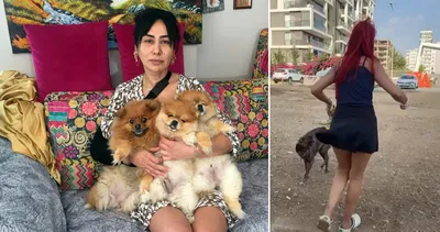 Son dakika: Genç kadın kabusu yaşamıştı: Köpeklerimi de kesmekle tehdit etti