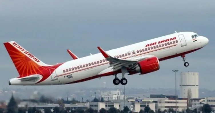 Air India’dan yemekten çıkan hamam böceği için özür