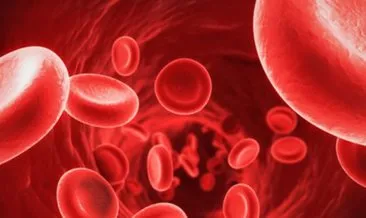 kan uyusmazligi nedir ve ignesi ne