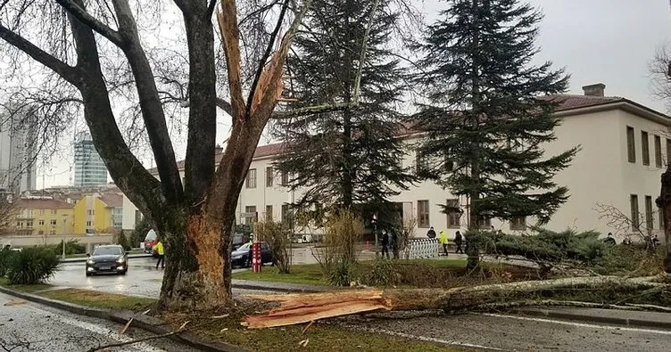 Son dakika: TBMM'de panik! Meclis bahçesine yıldırım düştü