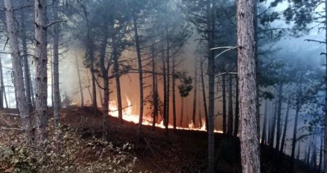 İzmir'de orman yangını! Ekipler bölgeye sevk edildi