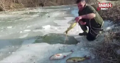 Buzun altından elleriyle balık avlıyor | Video