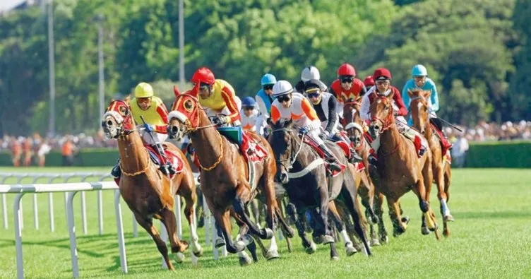 At yarışlarının yeniden başlama tarihi belli oldu! 2020 TJK at yarışları ne zaman başlıyor?