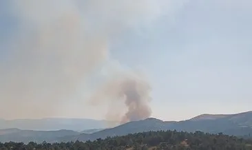 Sinanpaşa ve Hocalar arasında orman yangını #afyonkarahisar