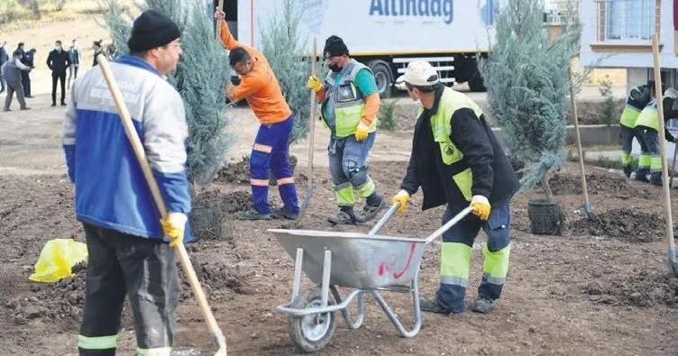 Altındağ’a bir orman daha