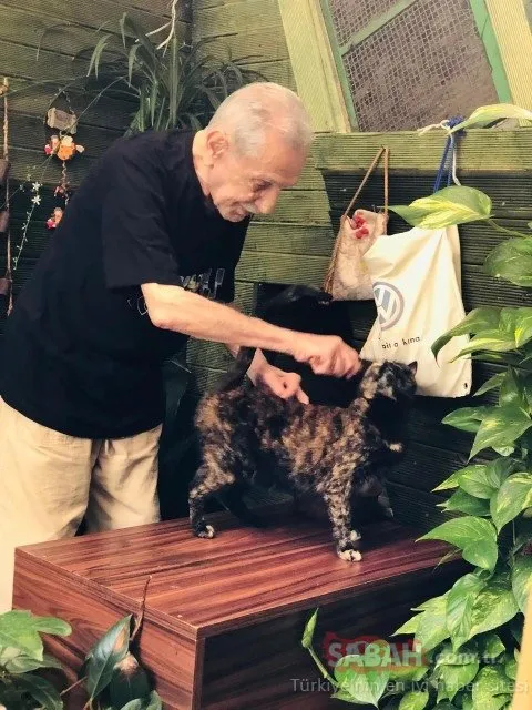 Aydemir Akbaş 55 yıldır oturduğu evden taşındı sebebi ise… Kedileri için yaptırdığı ev için bakın ne kadar harcadı!