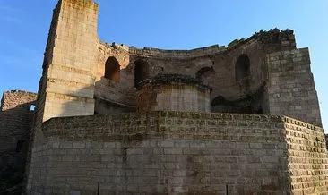 UNESCO adayı Harran Sarayı’nın tarihi netleşiyor