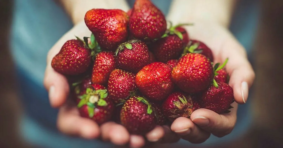 ruyada cilek gormek cilek yemek cilek koklamak curuk cilek gormek ne anlama gelir ruya tabirleri haberleri