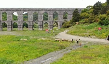 İstanbul’da su seviyesi alarm veriyor