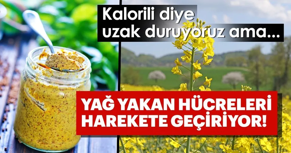 Kalorili Diye Bilirdik Ama Yag Yakan Hucreleri Harekete Geciren Super Besinler Saglik Haberleri