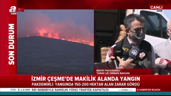 Son dakika: Bakan Pakdemirli'den İzmir'deki yangın ile ilgili flaş açıklamalar! Yangın kasıtlı mı çıkarıldı? | Video