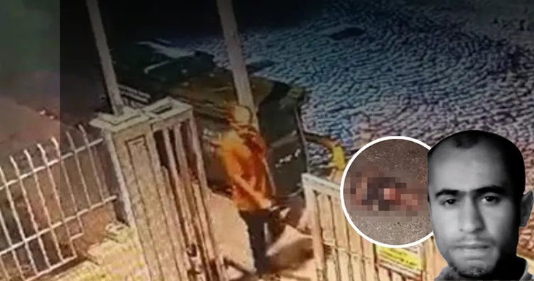 İstanbul’da başıboş köpekler adamı parçalayarak öldürdü! Otopsi raporunda korkunç detaylar!