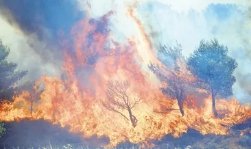 Yangınlar dünyaya kıyameti yaşatıyor