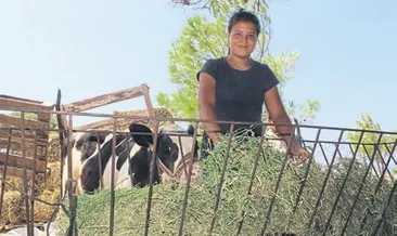 Elektrik ve su olmayan çadırda okuma azmi