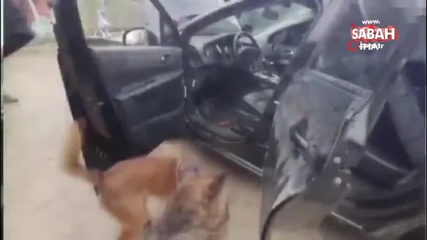Otomobilin çamurluklarına zulaladıkları uyuşturucuyu narkotik köpekten saklayamadılar | Video