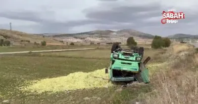 Devrilen kamyondaki 13 ton mısır silajı ziyan oldu | Video