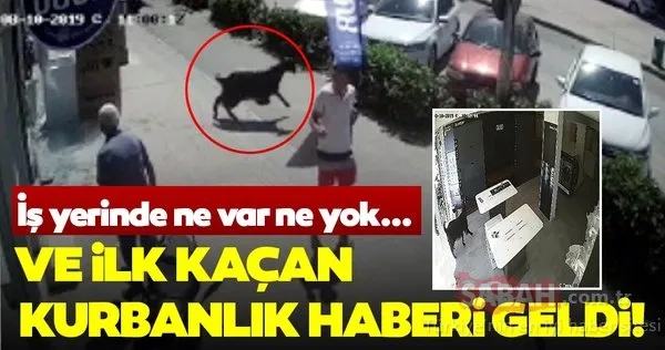 Ve ilk kaçan kurbanlık haberi geldi! İş yerinde ne var ne yok...