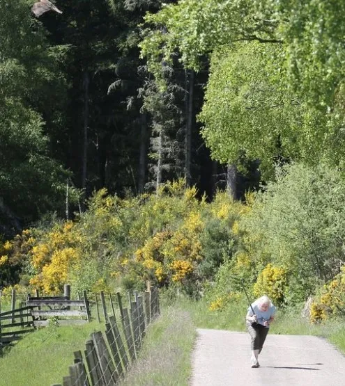 Yoldan geçene kabusu yaşatıyor! Sarışınları hedef alıyor, korkudan yanlarında sopa taşıyorlar