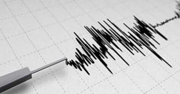 Van Gevaş’da 4.5’lik deprem korkuttu