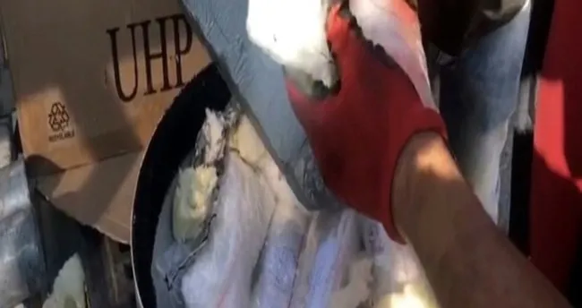 Gaziantep Motosiklet Kazası Son Dakika  : Motosiklet Kazası Haberleri Ve Güncel Son Dakika Gelişmeleri Için Tıklayın!