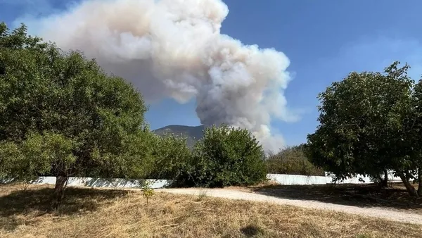 Denizli Orman Yangını