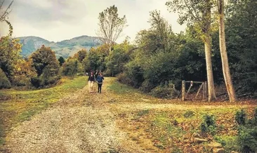 Küre İstiklal Yolu sizi bekliyor