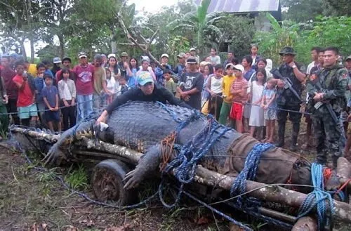 Dünyanın en büyük timsahı öldü